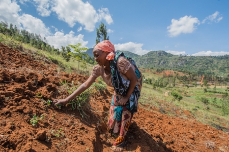 Farmers help each other to terrace the land in Lushoto, Tanzania.