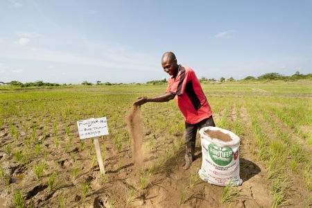 Farmer with a bag of fortifer in Kpong Irrigation Scheme, in Asutuare in Ghana 