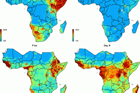 Predicted soil macro-nutrient concentrations (0–30 cm) for Sub-Saharan Africa. All values are expressed in ppm