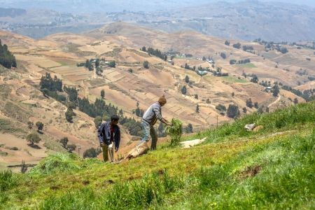 Farmers on Ethiopia’s Yewol mountain work the newly restored fields.