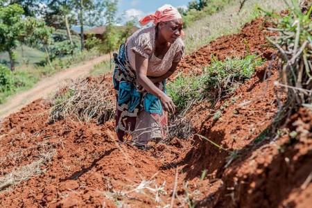Communities dig terraces to stop soil erosion in Lushoto, Tanzania.