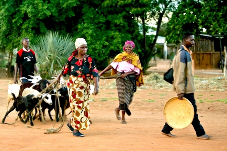Women lead their goats to a market in Mapai, Gaza Province, Mozambique