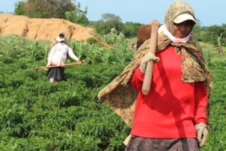 Women farmers in Sri Lanka.