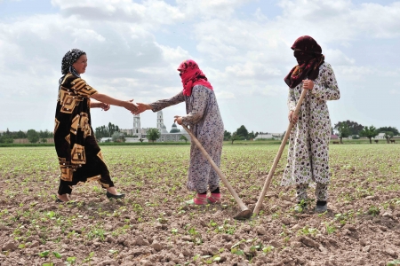 Women farming near a mosque in Tajikistan.