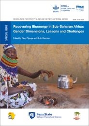 Recovering bioenergy in Sub-Saharan Africa: gender dimensions, lessons and challenges.