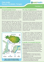 Case study: Gemenc floodplain, Hungary