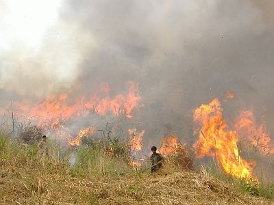 Laos burning Alain Pierret IRD