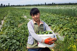 Woman_with_a_basket_full_of_green_cucumber_from_her_farm-Ikuru_Kawajima
