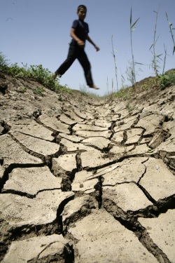 Dried Cracked earth is visible as a result of declining water levels in Belkas 260 Km the northeast of the Capital Cairo in June 10, 2008.this farm was seen in an area that was until recently underwater and used in agriculture .