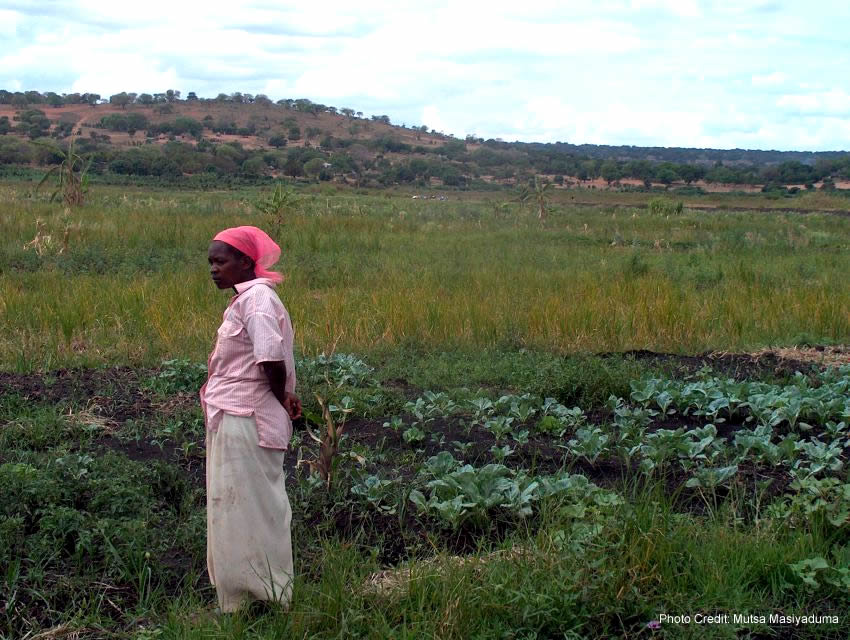 A woman with her crops grown in a wetland in South Africa.