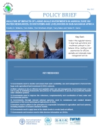 Policy Brief - Analysis of impacts of large-scale investments in agriculture on water resources, ecosystems and livelihoods in sub-Saharan Africa