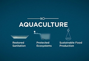 AquaCulture