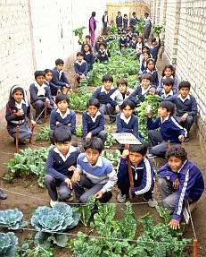 School children in Lima, Peru, display crops grown in their school garden Photo credit: RUAF 