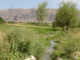 irrigation water in Kyrgzistan_June06_050_resized