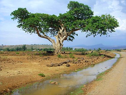An irrigation canal near the Blue Nile waterfall in Ethiopia
