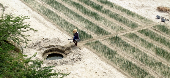 Small wells are dug in the riverbed and water collected in watering cans in Myanmar