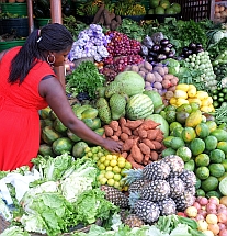 Urban farming supplies up to 90% of the perishable vegetables consumed in many African cities.