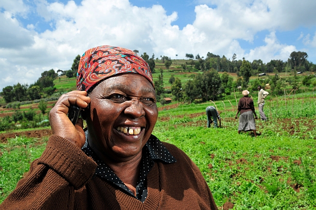 A Kenyan farmer uses a mobile phone in the field. Photo by Neil Palmer (CIAT)