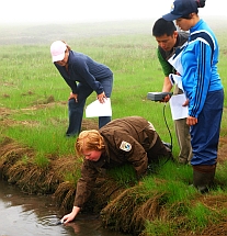 Learning how to measure salinity in a salt marsh