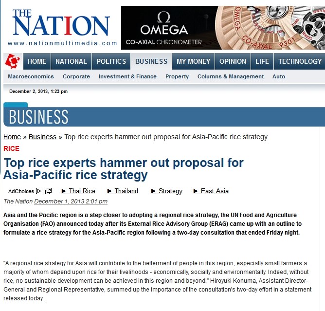 Top rice experts hammer out proposal for Asia-Pacific rice strategy