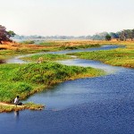 Wetlands in Zambia