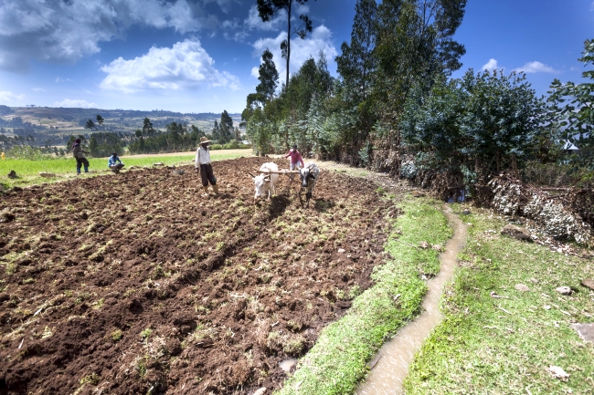 Farming in Ethiopia