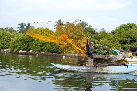 Freshwater fishing in Negombo lagoon Photo: Hamish John Appleby/IWMI