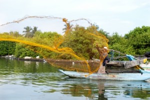 Freshwater fishing in Negombo lagoon  Hamish John Appleby/IWMI 