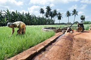 Sustainable Agricultural Water Management