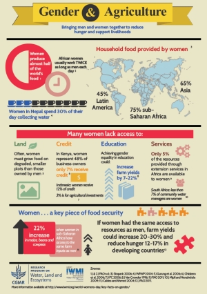 Download the infographic on Gender and Agriculture
