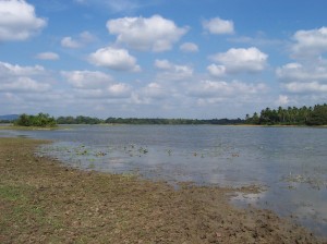 The prolonged drought dries up Sri Lanka's fourth largest river, Deduru Oya in the North Western Province Photo: Arosha Ranasighe/ IWMI