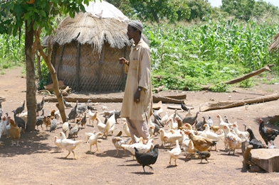 Abdullah, a Fulani crop and livestock farmer, at home on the farm near the village of Jimli