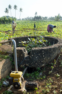 Pumping groundwater for agriculture in Jaffna (photo: Hamish John Appleby /IWMI.