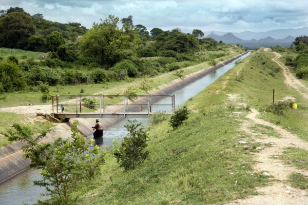 Main Canal from Siya Dam to Manjinenji Dam. Photo: David Brazier/IWMI
