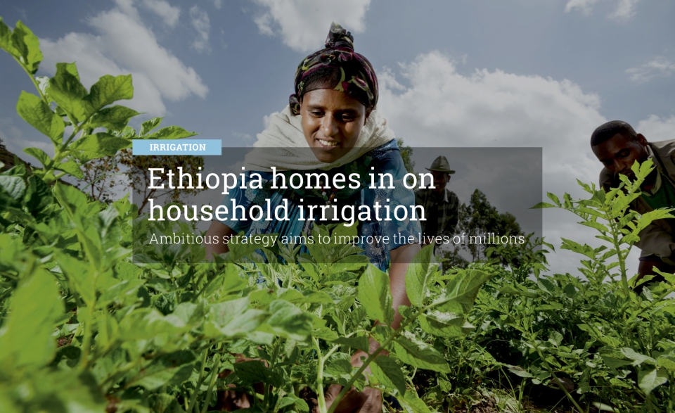 Ethiopia homes in on household irrigation