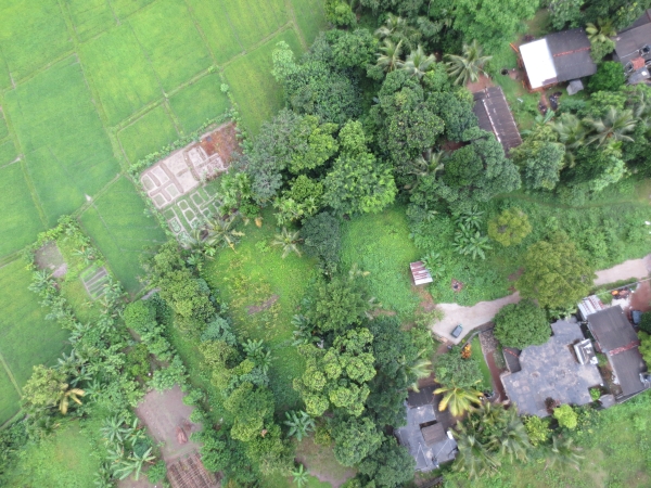 Pictures taken by the IWMI drone in Sri Lanka. Crops and farming systems can clearly be identified