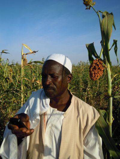 Millet farmer with mobile phone - Sudan