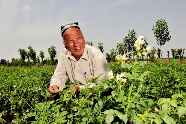 Man with a smile on his face, sitting on a potato farm field