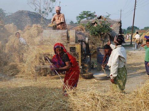 Feminisation of agriculture and the dual livelihood strategy: Women are increasingly in charge of managing agricultural affairs while male family members work outside
