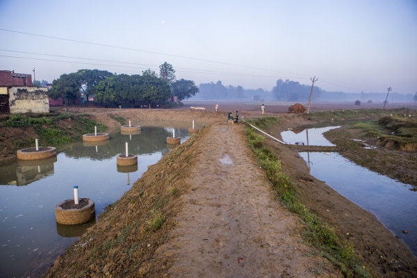 View of a stream and water collected pond created under IWMI’s UTFI initiative in the Jiwai Jadid village situated in Uttar Pradesh, India.