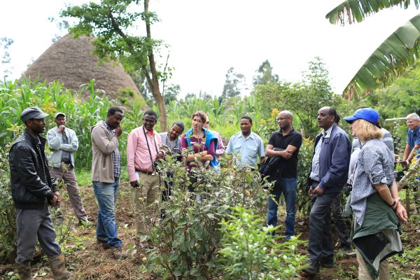 Smallholder irrigation taking root-2