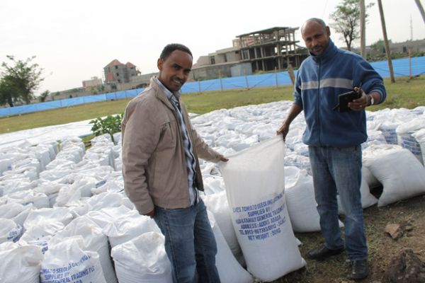 Amenti Chali, LIVEs Regional Expert and Kassa Getu, Managing Director of KDG & Family with sacks of seedling growth medium (Photo: Desalegne Tadesse (IWMI))