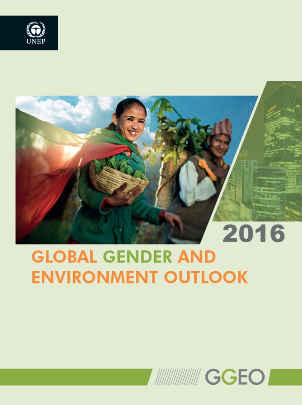 Global gender and environment outlook - full report