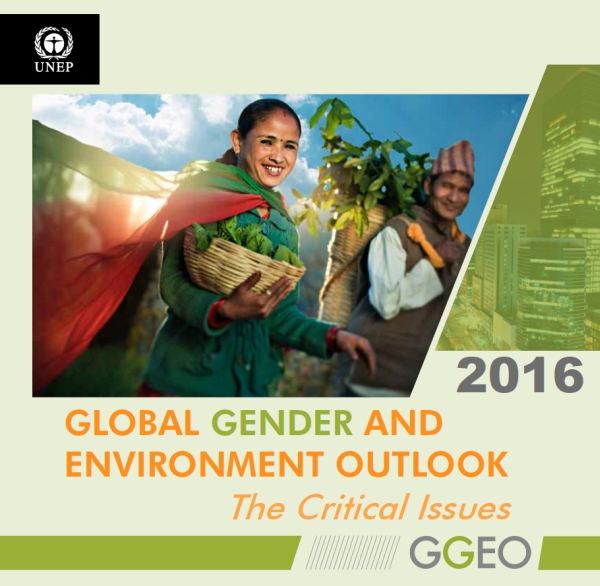 Global gender and environment outlook - summary report