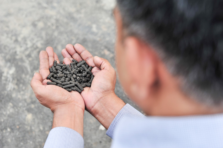 Fertiliser pellets made from processed human waste. Photo: Neil Palmer/IWMI