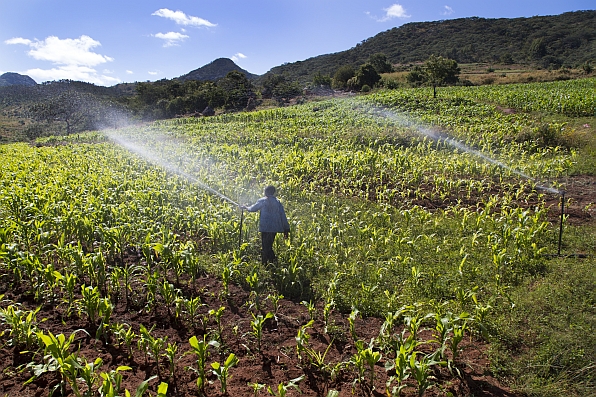 Sprinkler irrigation used in Eastern Highlands on the Mozambique border to irrigate farms.
