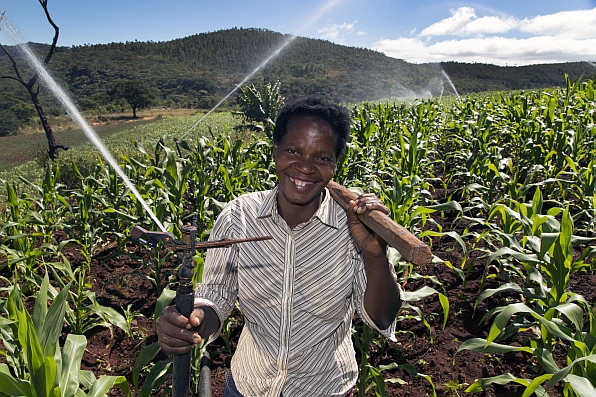 Sprinkler system used in Eastern Highlands on the Mozambique border to irrigate farms