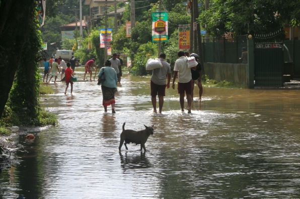 Locals walk along the flooded roads. Photo: IWMI.