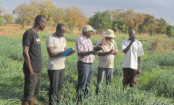 IWMI researchers interacting with farmers in northern Ghana. Photo: Richard Appoh