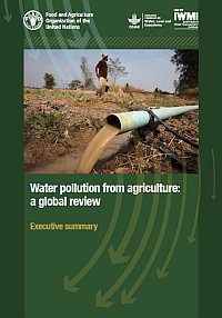 Water Pollution from Agriculture - A Global Review